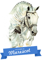 Logo Marescot